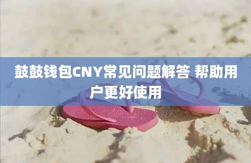 鼓鼓钱包CNY常见问题解答 帮助用户更好使用