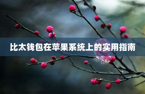 比太钱包在苹果系统上的实用指南