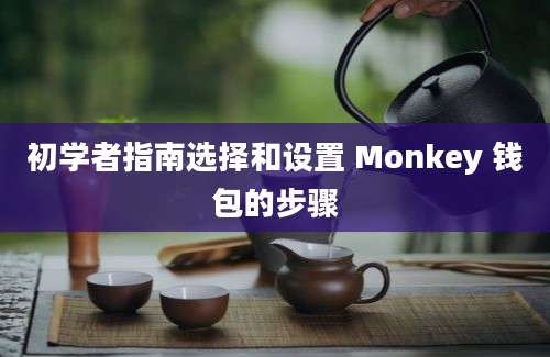 初学者指南选择和设置 Monkey 钱包的步骤