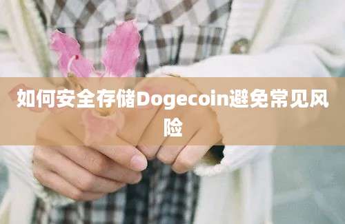 如何安全存储Dogecoin避免常见风险