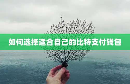 如何选择适合自己的比特支付钱包