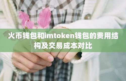 火币钱包和imtoken钱包的费用结构及交易成本对比