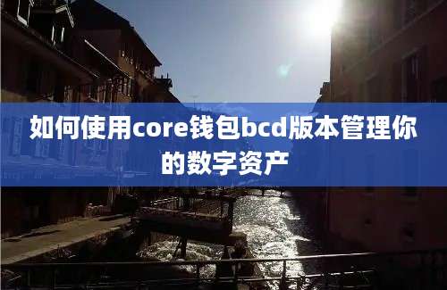 如何使用core钱包bcd版本管理你的数字资产