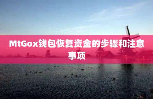 MtGox钱包恢复资金的步骤和注意事项