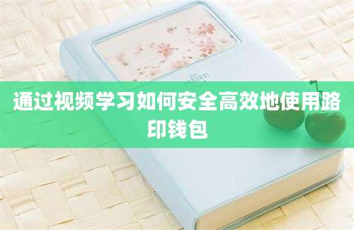 通过视频学习如何安全高效地使用路印钱包