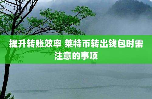 提升转账效率 莱特币转出钱包时需注意的事项