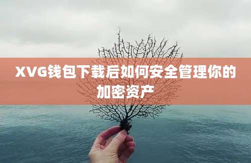 XVG钱包下载后如何安全管理你的加密资产