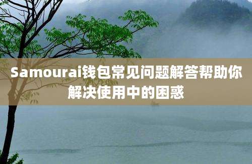 Samourai钱包常见问题解答帮助你解决使用中的困惑