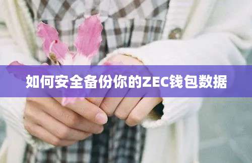 如何安全备份你的ZEC钱包数据