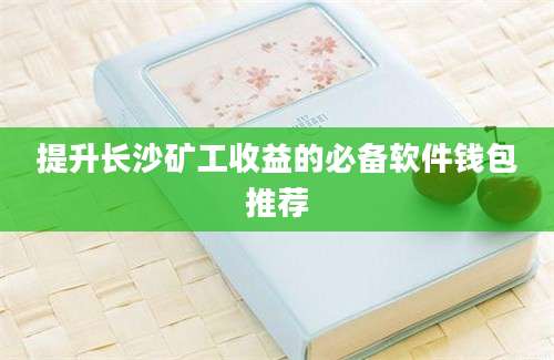 提升长沙矿工收益的必备软件钱包推荐