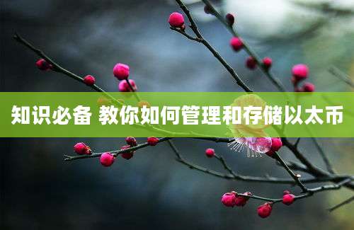 知识必备 教你如何管理和存储以太币