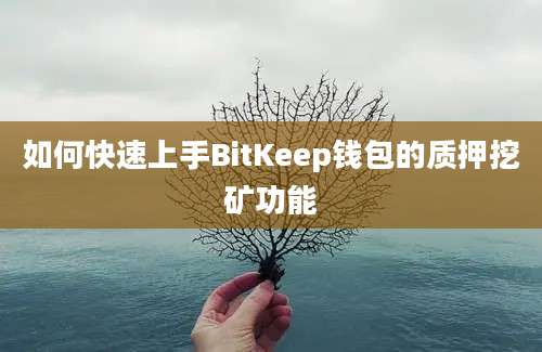 如何快速上手BitKeep钱包的质押挖矿功能