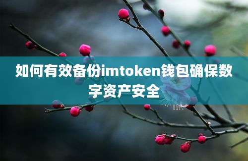 如何有效备份imtoken钱包确保数字资产安全