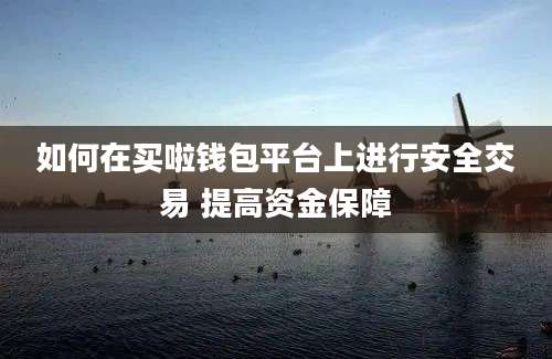 如何在买啦钱包平台上进行安全交易 提高资金保障