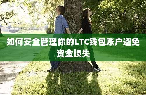 如何安全管理你的LTC钱包账户避免资金损失