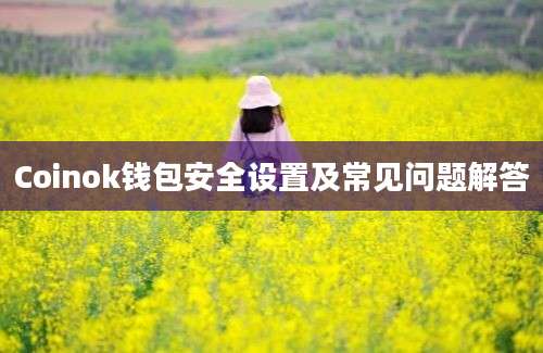 Coinok钱包安全设置及常见问题解答