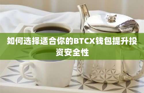 如何选择适合你的BTCX钱包提升投资安全性