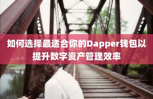 如何选择最适合你的Dapper钱包以提升数字资产管理效率