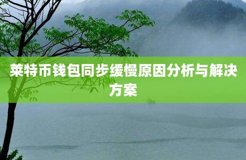 莱特币钱包同步缓慢原因分析与解决方案