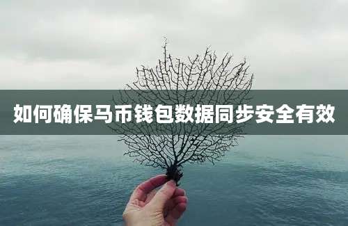 如何确保马币钱包数据同步安全有效