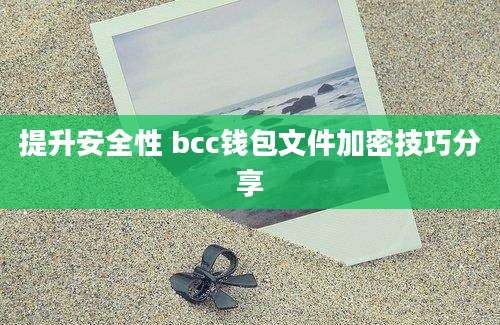 提升安全性 bcc钱包文件加密技巧分享