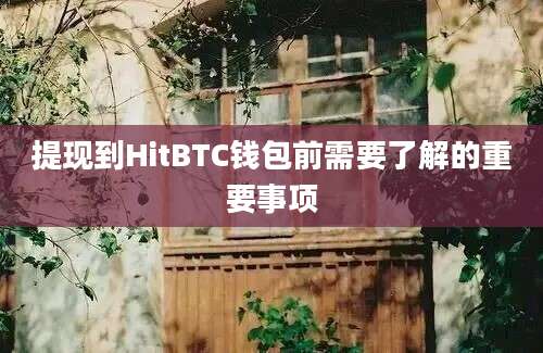 提现到HitBTC钱包前需要了解的重要事项