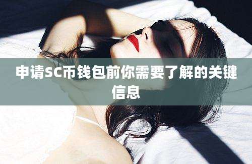 申请SC币钱包前你需要了解的关键信息