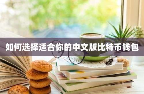 如何选择适合你的中文版比特币钱包