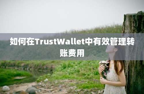 如何在TrustWallet中有效管理转账费用