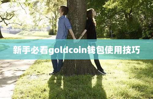 新手必看goldcoin钱包使用技巧