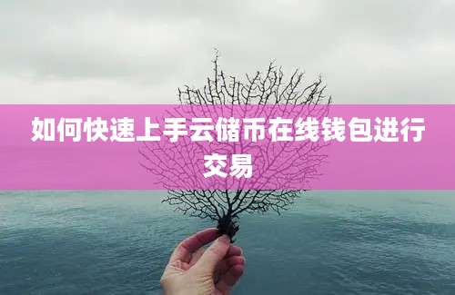 如何快速上手云储币在线钱包进行交易