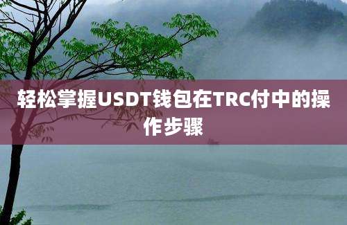 轻松掌握USDT钱包在TRC付中的操作步骤