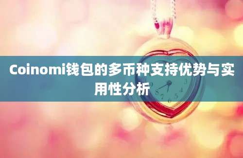 Coinomi钱包的多币种支持优势与实用性分析