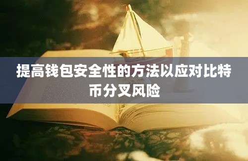 提高钱包安全性的方法以应对比特币分叉风险