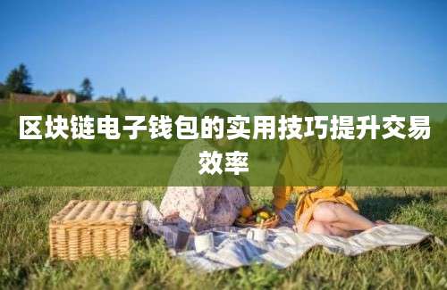 区块链电子钱包的实用技巧提升交易效率