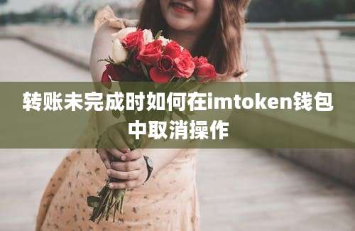 转账未完成时如何在imtoken钱包中取消操作