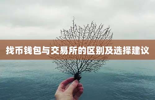 找币钱包与交易所的区别及选择建议