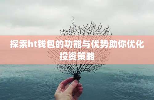 探索ht钱包的功能与优势助你优化投资策略