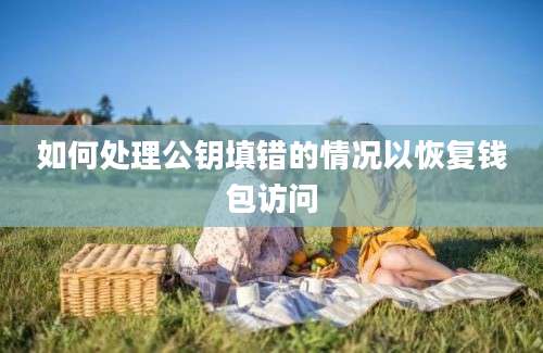 如何处理公钥填错的情况以恢复钱包访问