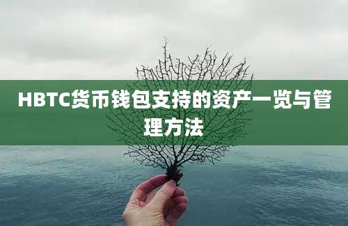 HBTC货币钱包支持的资产一览与管理方法