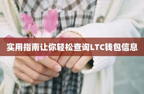 实用指南让你轻松查询LTC钱包信息