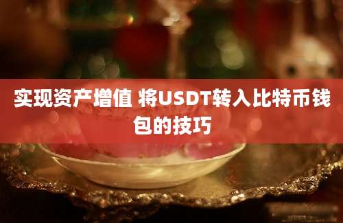 实现资产增值 将USDT转入比特币钱包的技巧