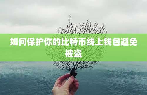 如何保护你的比特币线上钱包避免被盗