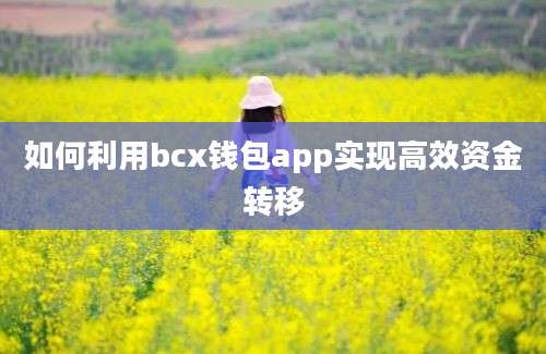 如何利用bcx钱包app实现高效资金转移