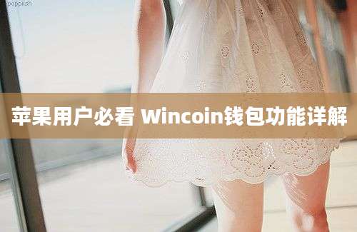 苹果用户必看 Wincoin钱包功能详解