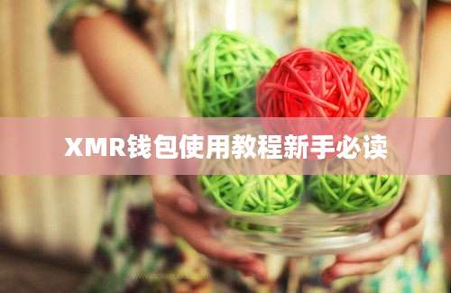 XMR钱包使用教程新手必读