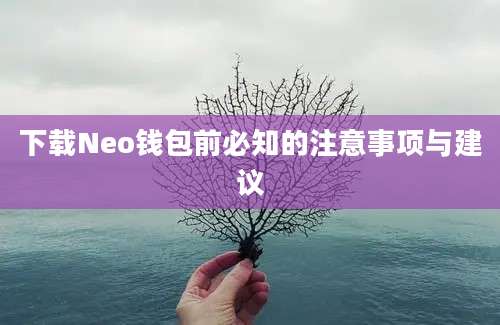 下载Neo钱包前必知的注意事项与建议