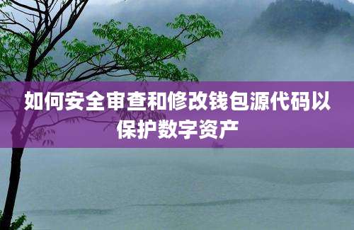 如何安全审查和修改钱包源代码以保护数字资产