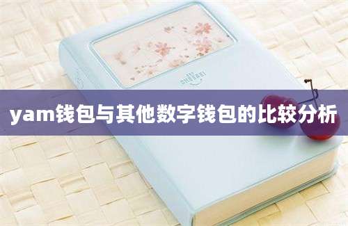 yam钱包与其他数字钱包的比较分析