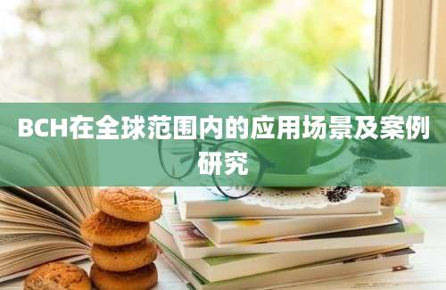 BCH在全球范围内的应用场景及案例研究